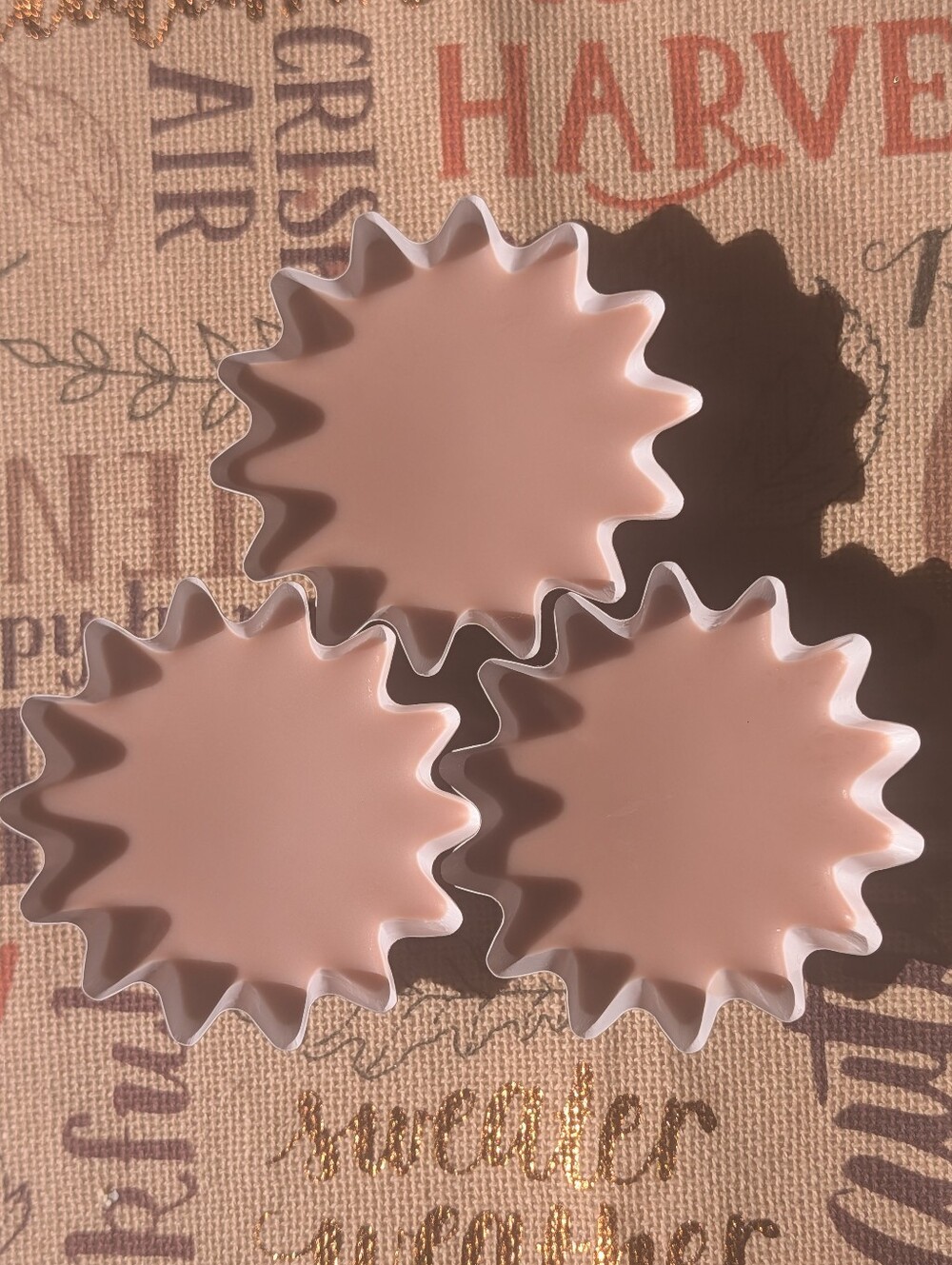 3 Cinnamon vanilla spice soy coconut apricot beeswax tarts ( used in warmer)